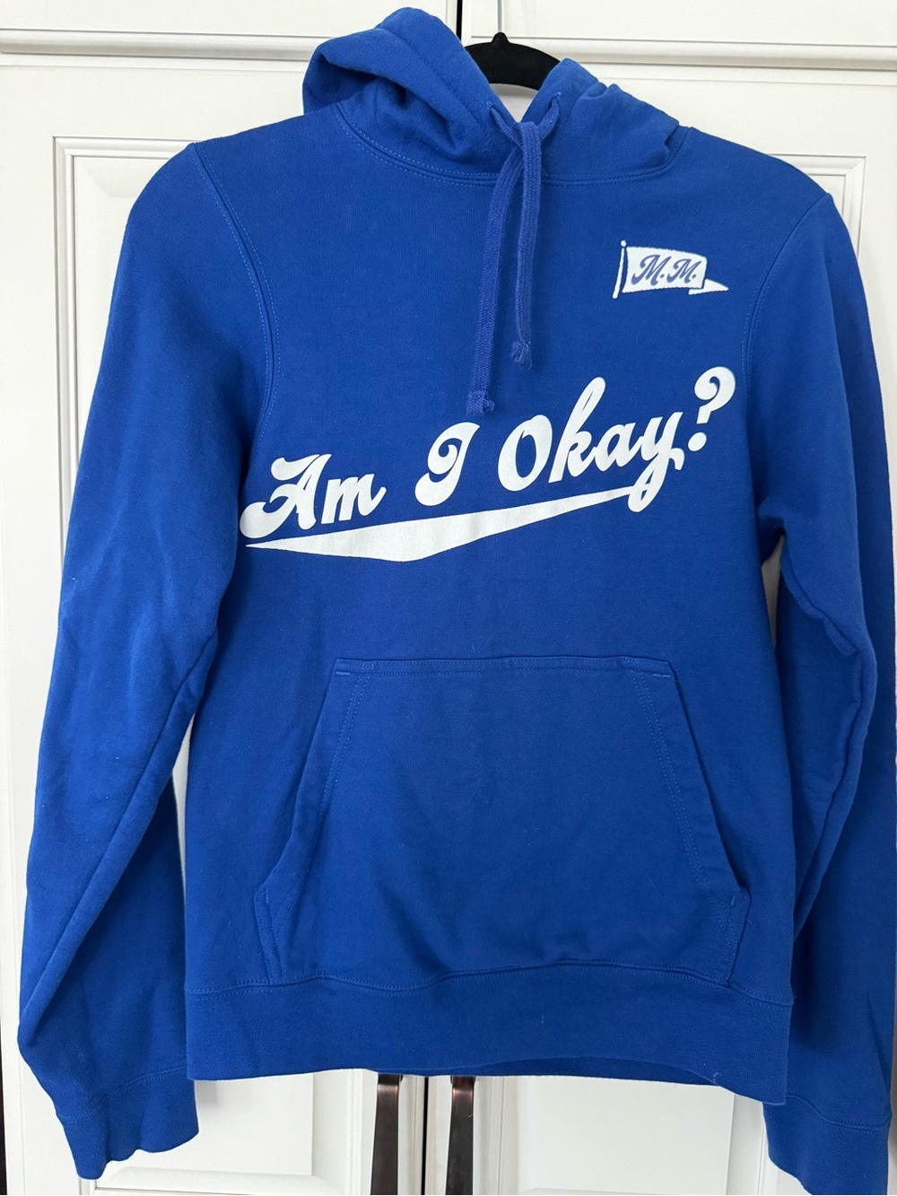 Am I Okay? Blue Graphic Hoodie Sweatshirt